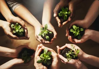 Young green plants held in paper-based growing material