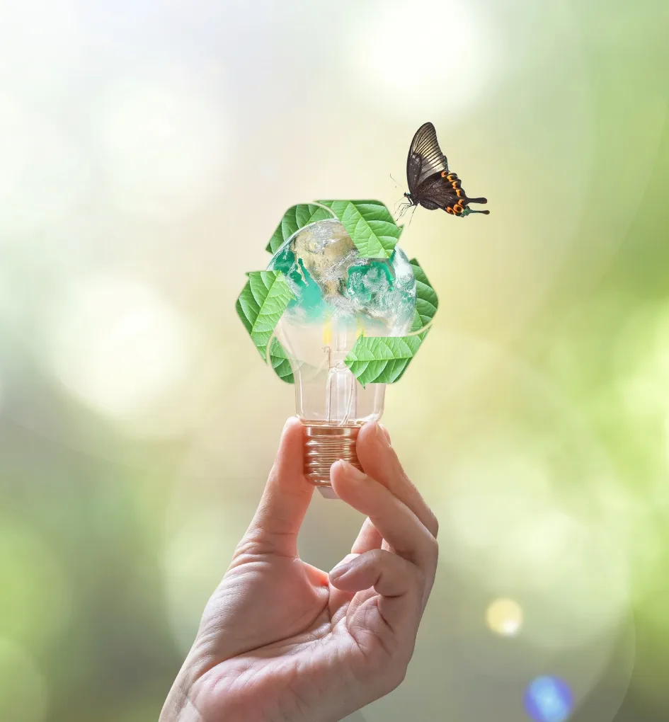 Sustainable paper packaging represented by a green world in hand